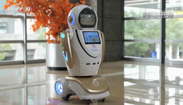 湖北迎賓機(jī)器人