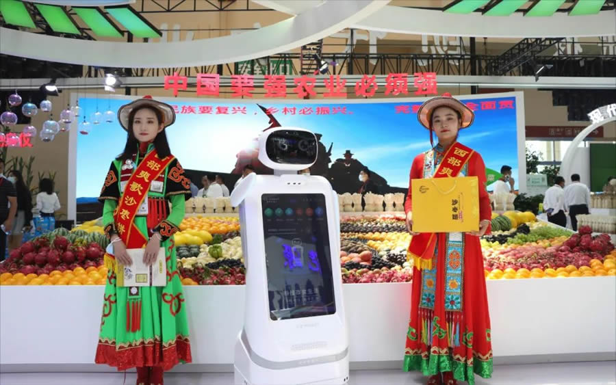 創(chuàng)澤大屏商用機器人圖片